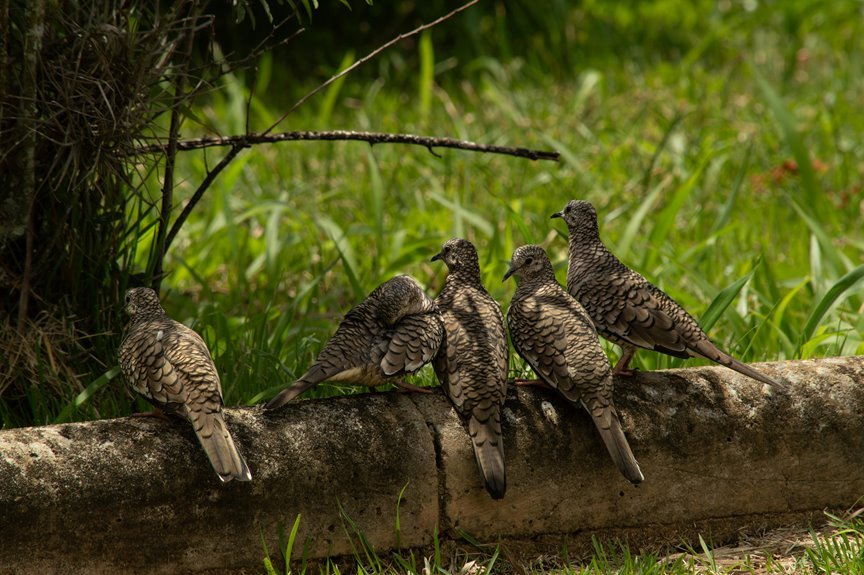 structured dataset association log